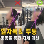 비브짐 PT&헬스