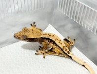 예쁜동물나라수족관 대전점