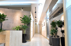 서울드림통증의학과의원