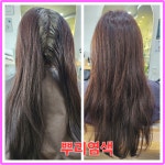 친환경 엘샤론코리아 개금점 | JY친환경머리염색엘샤론 공주점
