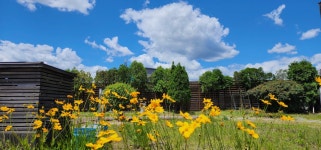 송파드림재활병원