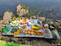 철학관예언정사