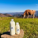 삼수령무무목장