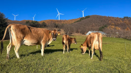 삼수령무무목장