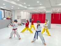 국가대표 경희대 태권도장