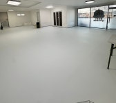 댕버랜드 강아지유치원