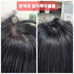 염색에 반하다
