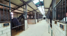 안산해피홀스클럽