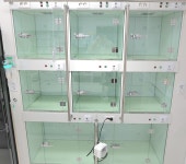 엔케어동물의료센터