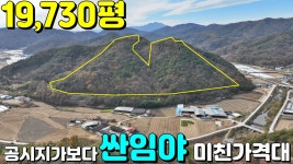 가람합동부동산중개사무소