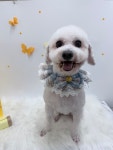 그루몽실