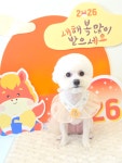 사계절예쁘개