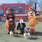 몽개몽개 애견호텔&애견유치원