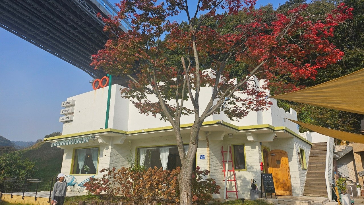 애견마당
