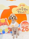 사계절예쁘개