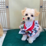 폴짝그루밍