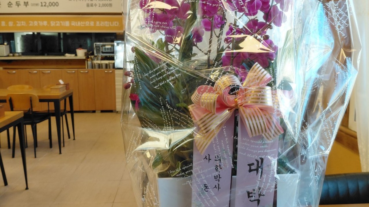 바람이부네