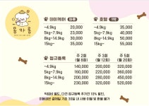 전주애견유치원 몽카롱