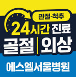 에스엘서울병원