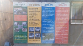 징기스카 디테일링