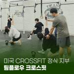 팀플로우 크로스핏