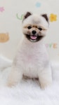 그루밍574