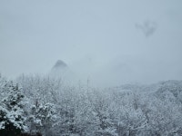 숲in