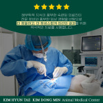 김현태김동민동물의료센터