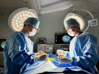 바로외과동물병원