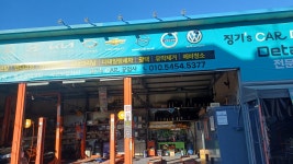 징기스카 디테일링