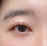 브로우바이슈