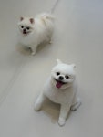 그루밍하우스