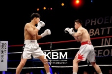 용인대 탑 복싱