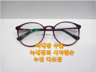 아이리스안경원