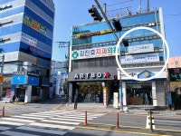 노랑풍선 베스트투어