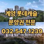계양롯데캐슬파크시티공인중개사사무소