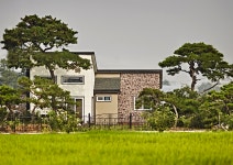 와이앤씨조경건설