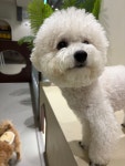 24시멍글몽글유치원&호텔링