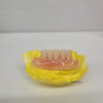 다윗치과기공소