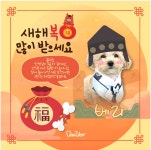 바베르 애견유치원&애견호텔 인천검단점