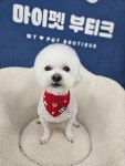마이펫 부티크