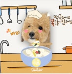 바베르 애견유치원&애견호텔 인천검단점