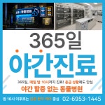 노원온동물병원