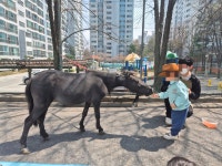 신성키즈빌어린이집