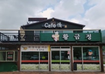 황금정
