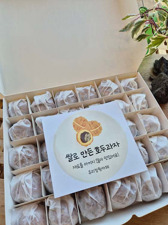 유리정원 사진
