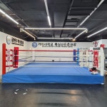 금천복싱체육관 남서울