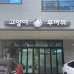 파주고양이미용실