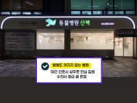 동물병원산책 내과외과재활센터