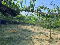 충주열매마을영농조합법인